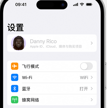 宾阳appleID维修服务iPhone设置中Apple ID显示为灰色无法使用