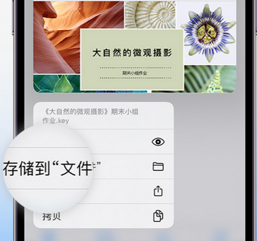 宾阳apple维修中心分享iPhone文件应用中存储和找到下载文件