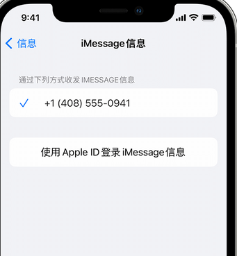 宾阳apple维修iPhone上无法正常发送iMessage信息 