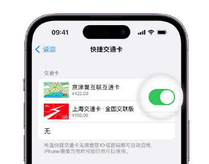 宾阳apple维修点分享iPhone上更换Apple Pay快捷交通卡手绘卡面 