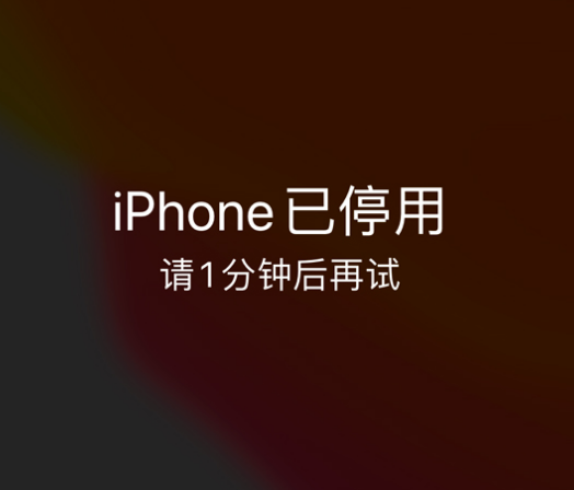 宾阳苹果手机维修分享:iPhone 显示“不可用”或“已停用”怎么办？还能保留数据吗？ 