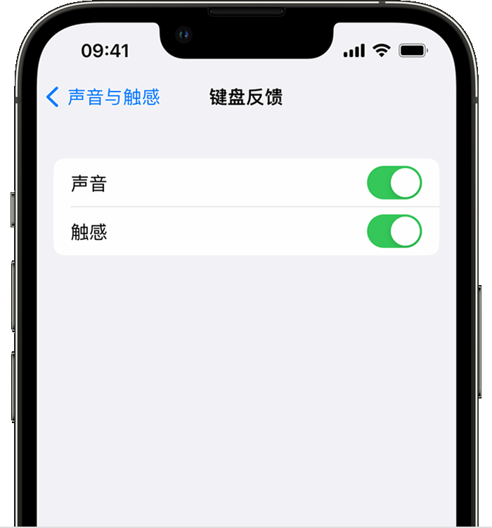 宾阳苹果14维修店分享如何在 iPhone 14 机型中使用触感键盘 