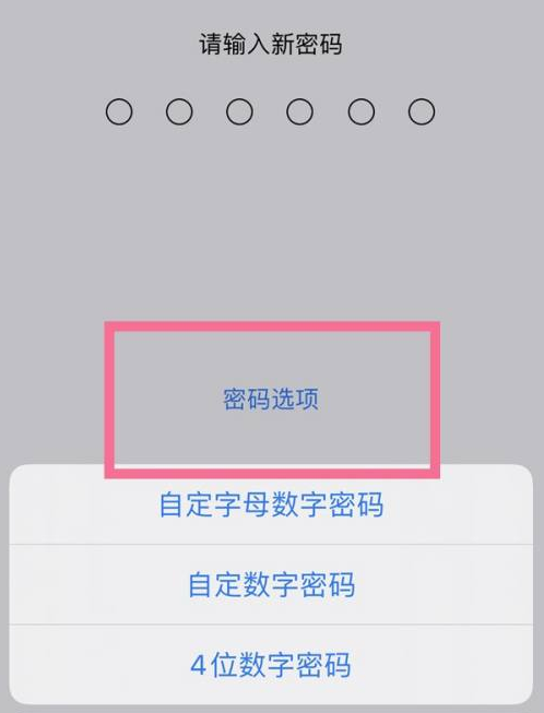 宾阳苹果14维修分享iPhone 14plus设置密码的方法 