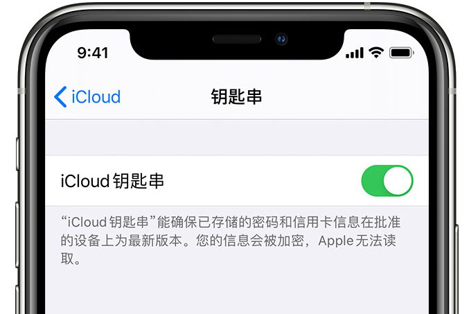 宾阳苹果手机维修分享在 iPhone 上开启 iCloud 钥匙串之后会储存哪些信息 