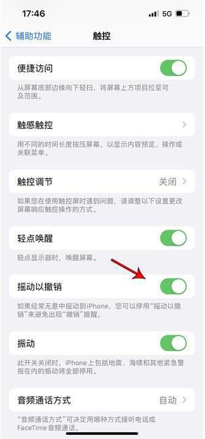 宾阳苹果手机维修分享iPhone手机如何设置摇一摇删除文字 